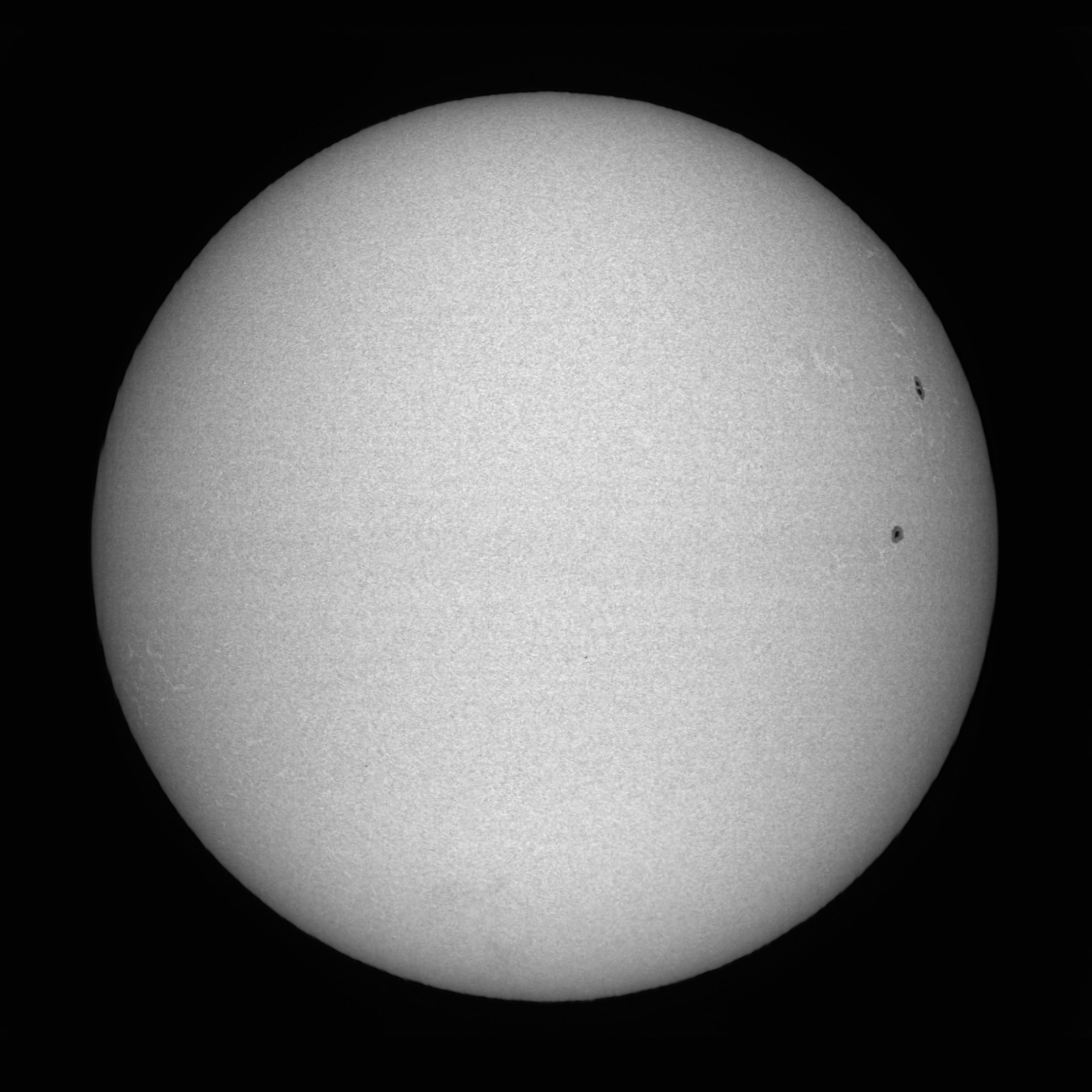 Le disque solaire dans la raie Fe I 5434,5 Å